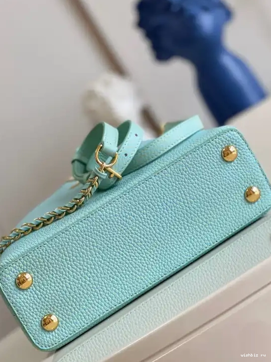 WIS BB VUITTON LOUIS CAPUCINES 0422